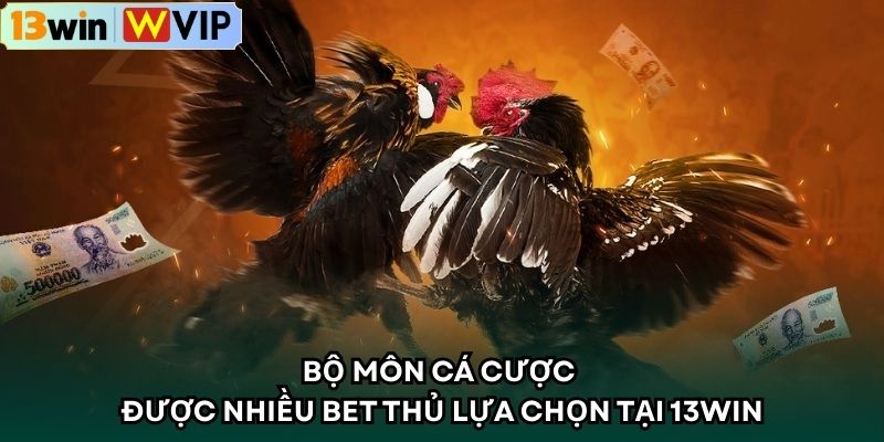Bộ môn cá cược được nhiều bet thủ lựa chọn tại 13WIN