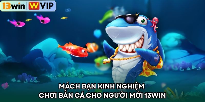 Mách Bạn Kinh Nghiệm Chơi Bắn Cá Cho Người Mới 13WIN
